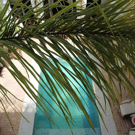 Riad Assouel Marrakesh Ngoại thất bức ảnh